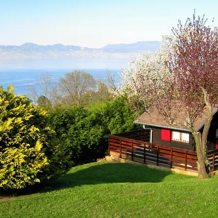 Evian With Geneva Views In 1960 Mid-century Modern Style * Neuvecelle